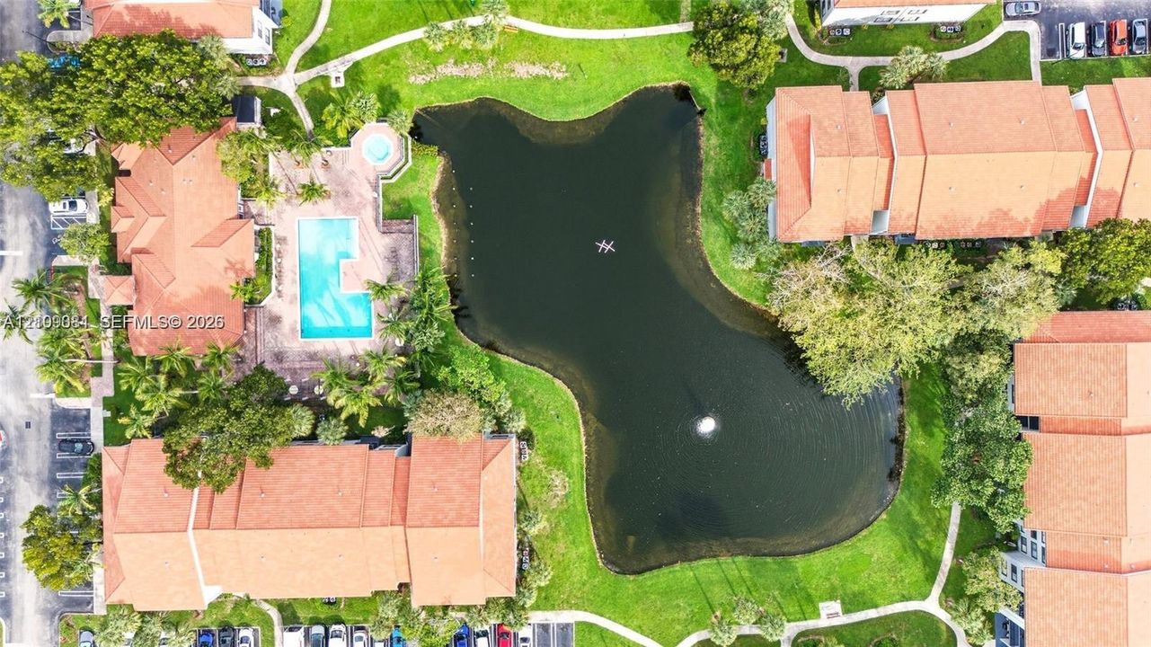 Aerial perspective featuring a centrally located pond with a fountain, a rectangular swimming pool, a circular spa, concrete walkways, and mature landscaping
