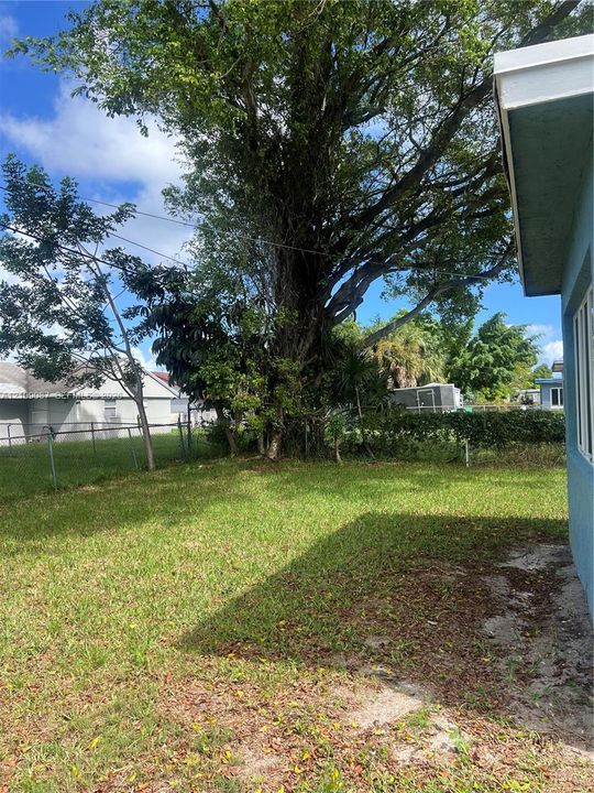 Backyard space featuring grass lawn, mature trees, and perimeter chain-link fencing
