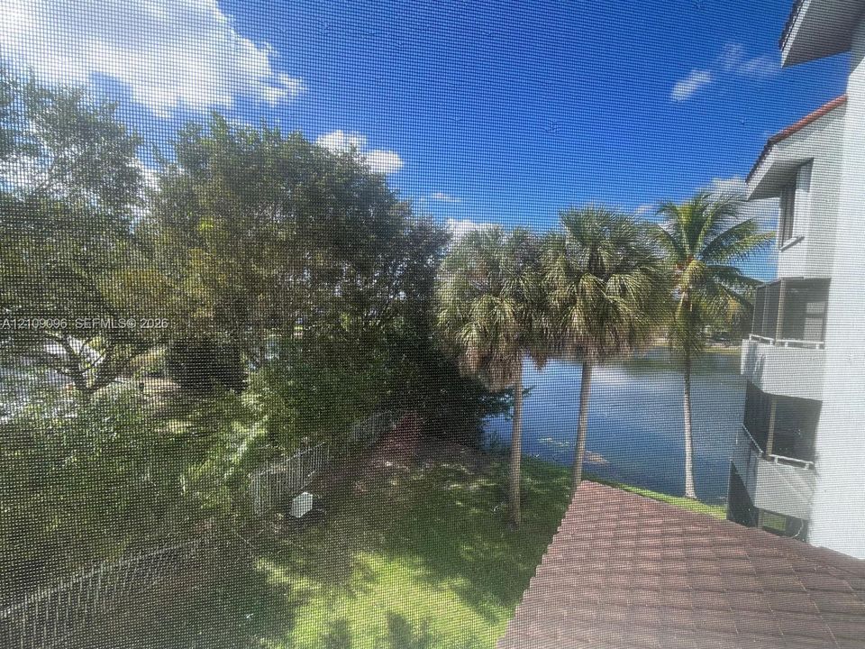 Exterior elevation featuring a multi-story structure with multi-level screened balconies, a tiled roof, mature palm trees, and water frontage
