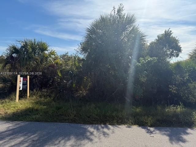 Vacant lot featuring native vegetation and mature palm trees