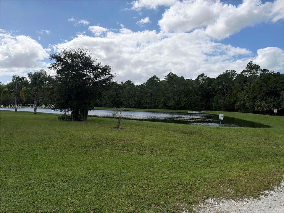 Lake view