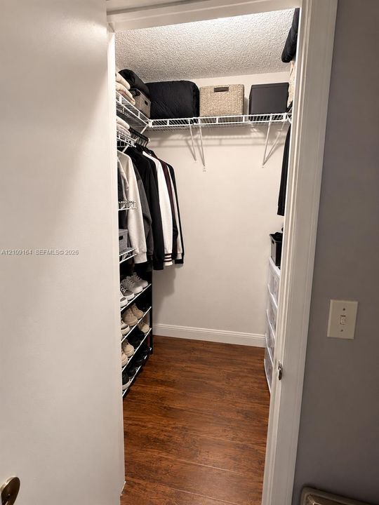 Walk-in closet featuring wood-finish flooring and integrated wire shelving systems