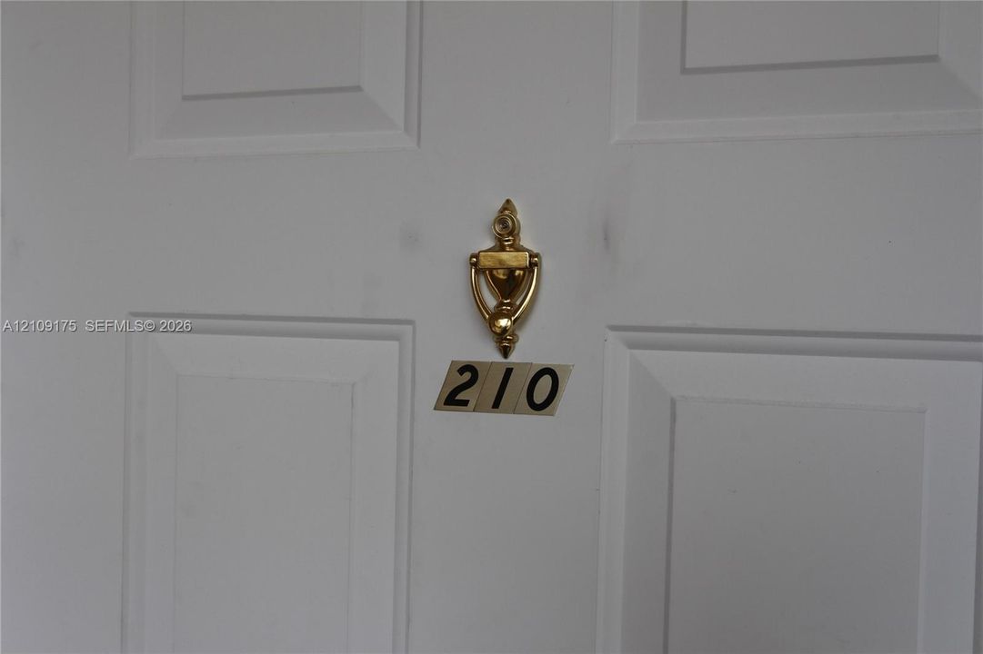 White four-panel door featuring a polished brass-tone door knocker
