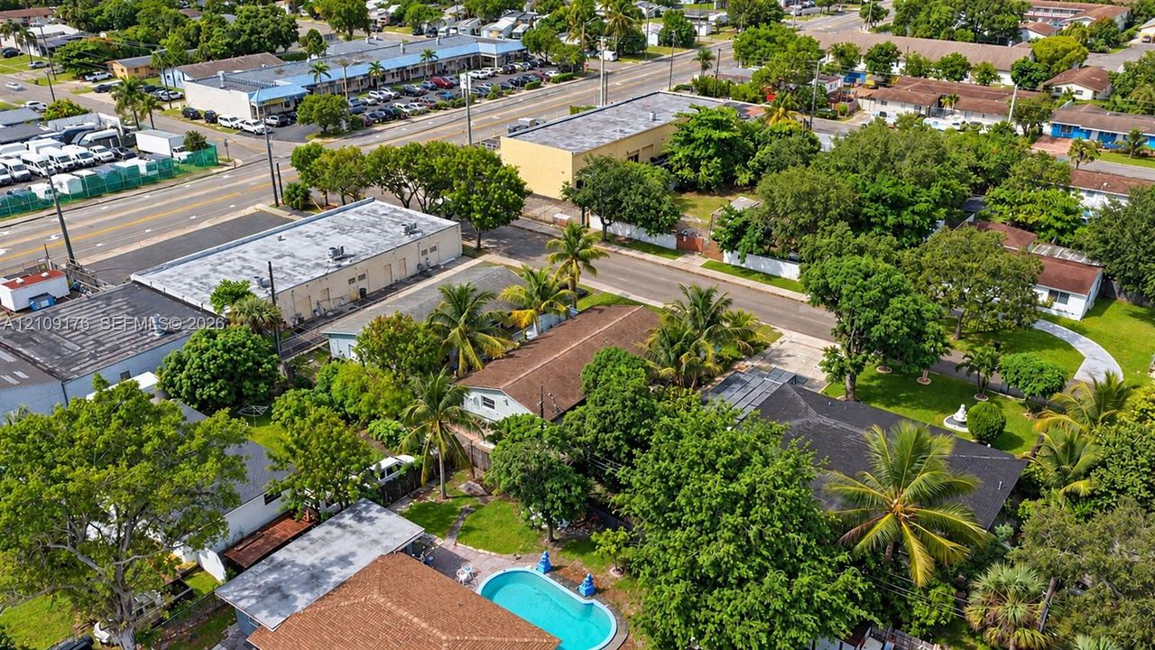 Aerial perspective featuring a shingled roof property, in-ground swimming pool, mature palm trees, paved driveway, and perimeter landscaping
