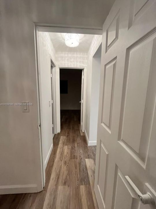 Hallway featuring wood-finish flooring, white multi-panel doors, and a flush-mount drum ceiling light fixture