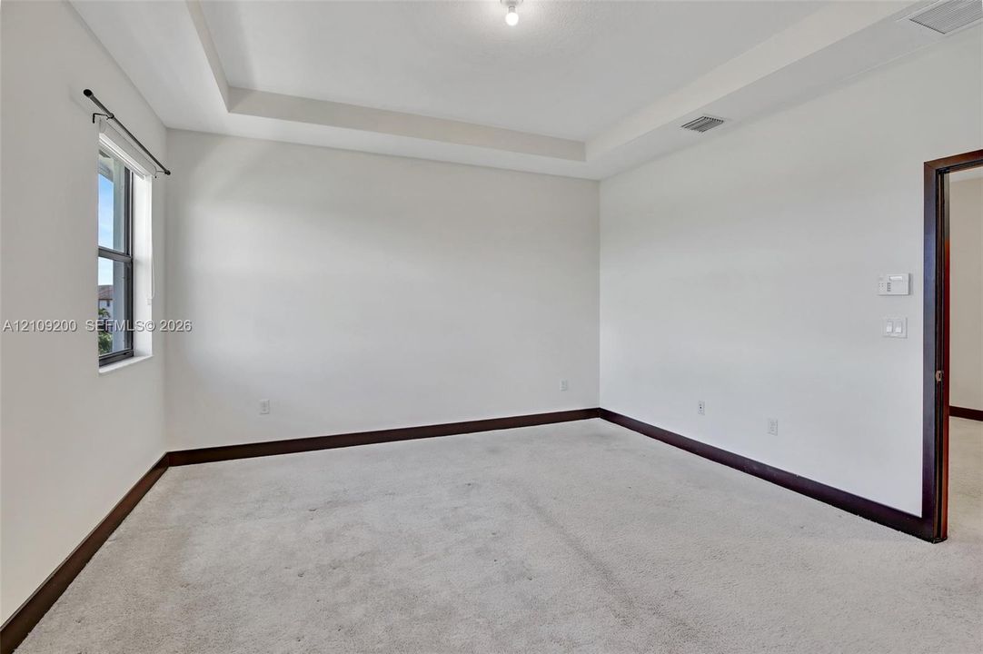 Interior room featuring a tray ceiling, wall-to-wall carpeting, window with neutral framing, and dark wood-finish trim