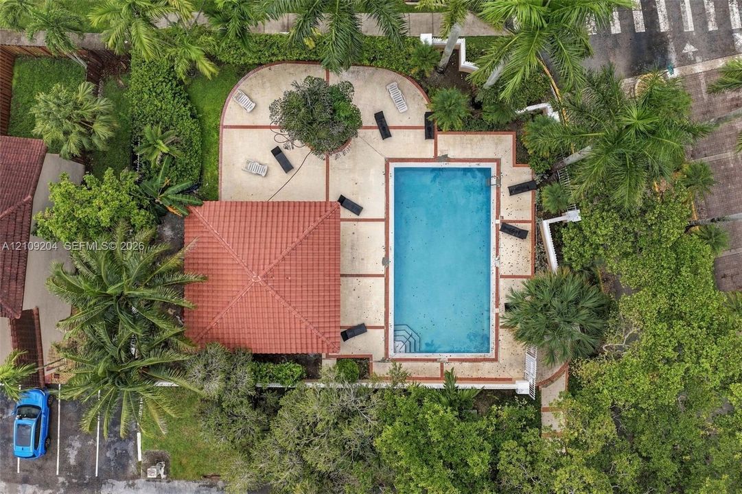 Rectangular swimming pool with integrated steps, tiled-roof covered patio, and expansive concrete pool deck surrounded by mature landscaping