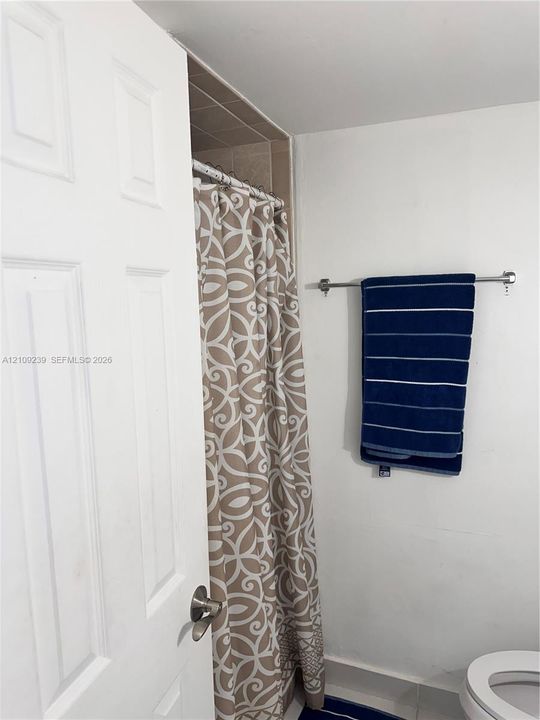 Multi-panel interior door with brushed metal hardware, wall-mounted chrome towel bar, and tiled shower enclosure