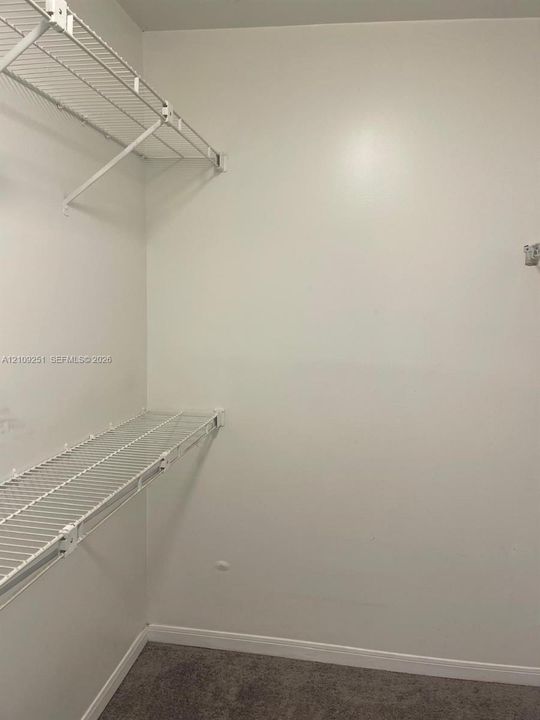 Walk-in storage space featuring neutral carpeting and white wire shelving
