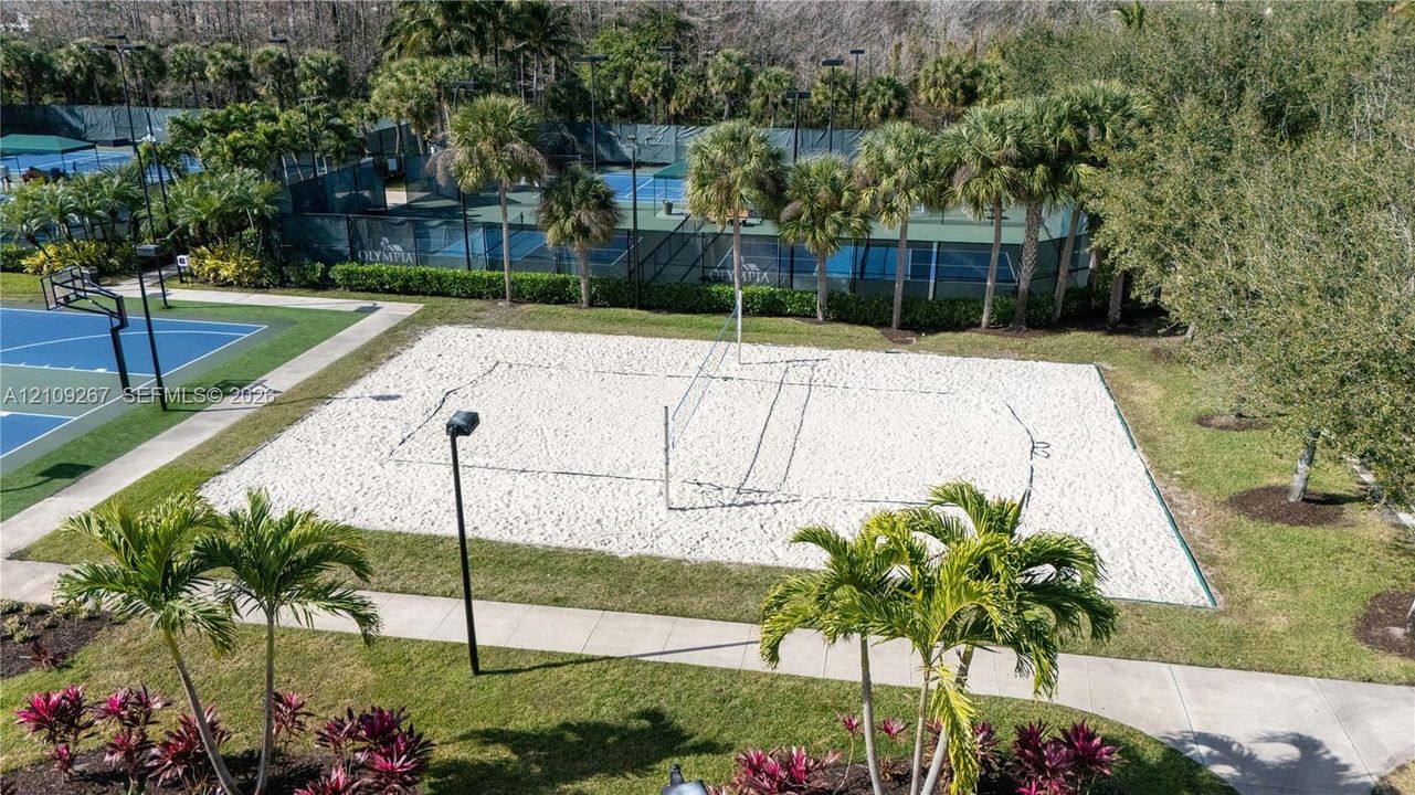 Sand volleyball court with a net, hard-surface tennis courts, concrete walkways, landscaped green space, and mature palm trees