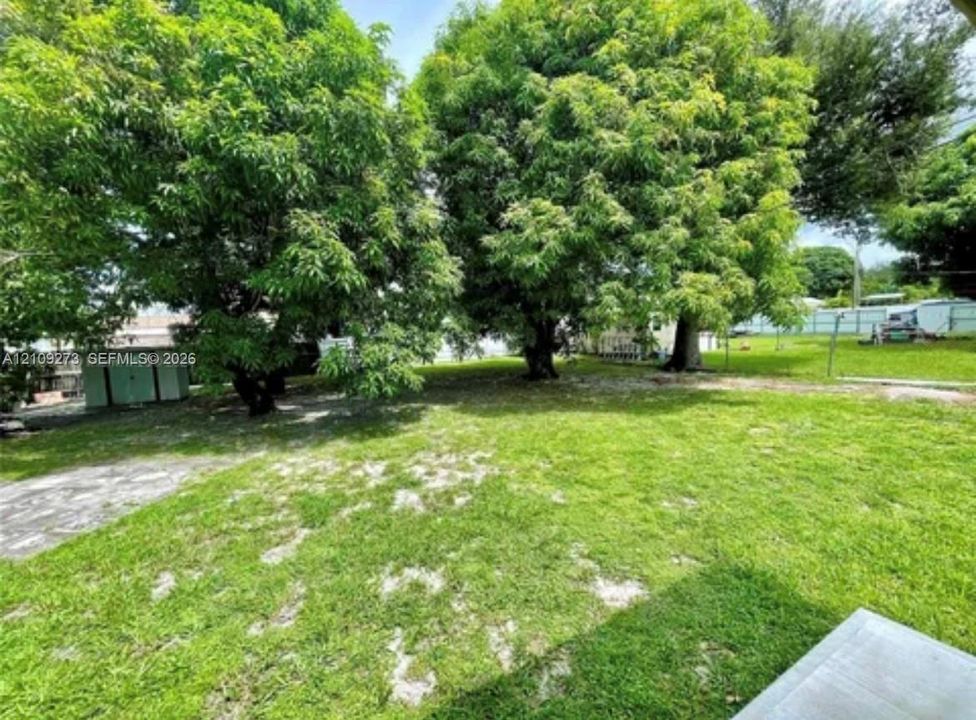 Expansive backyard featuring mature trees, a manicured lawn, a detached storage structure, and perimeter fencing