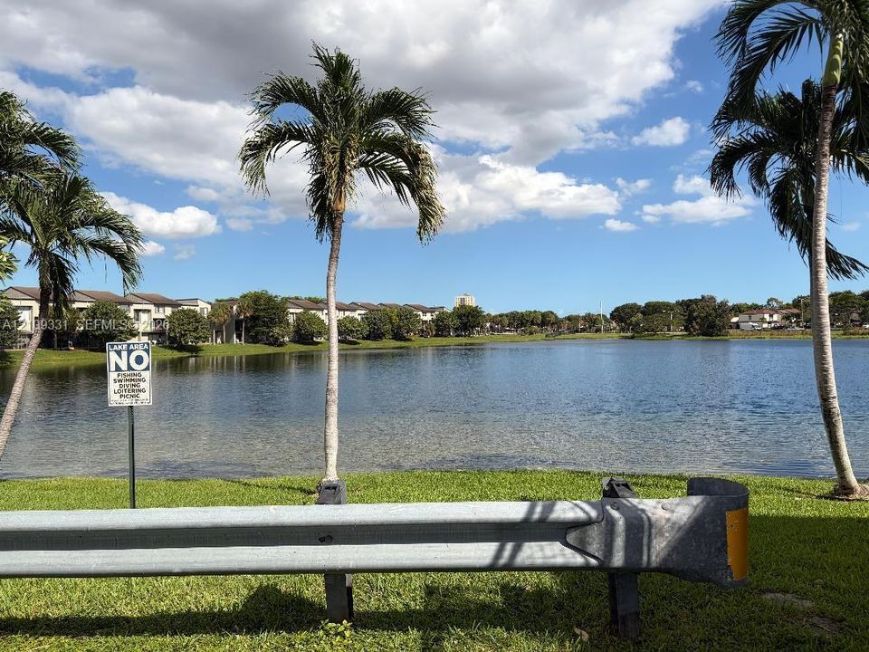 Waterfront landscape featuring mature palm trees and manicured grass grounds