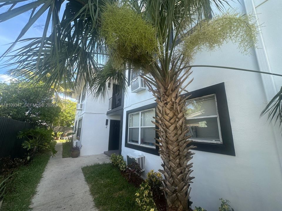 Multi-story exterior featuring white stucco finish, dark-trimmed window frames, and mature palm landscaping