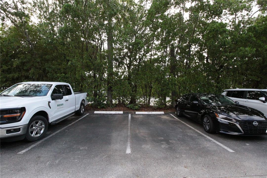 Asphalt parking area featuring two designated spaces and a perimeter of mature trees