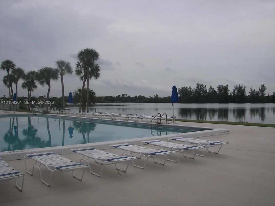 Inground swimming pool with metal ladder and concrete decking situated on a waterfront lot featuring mature palm trees