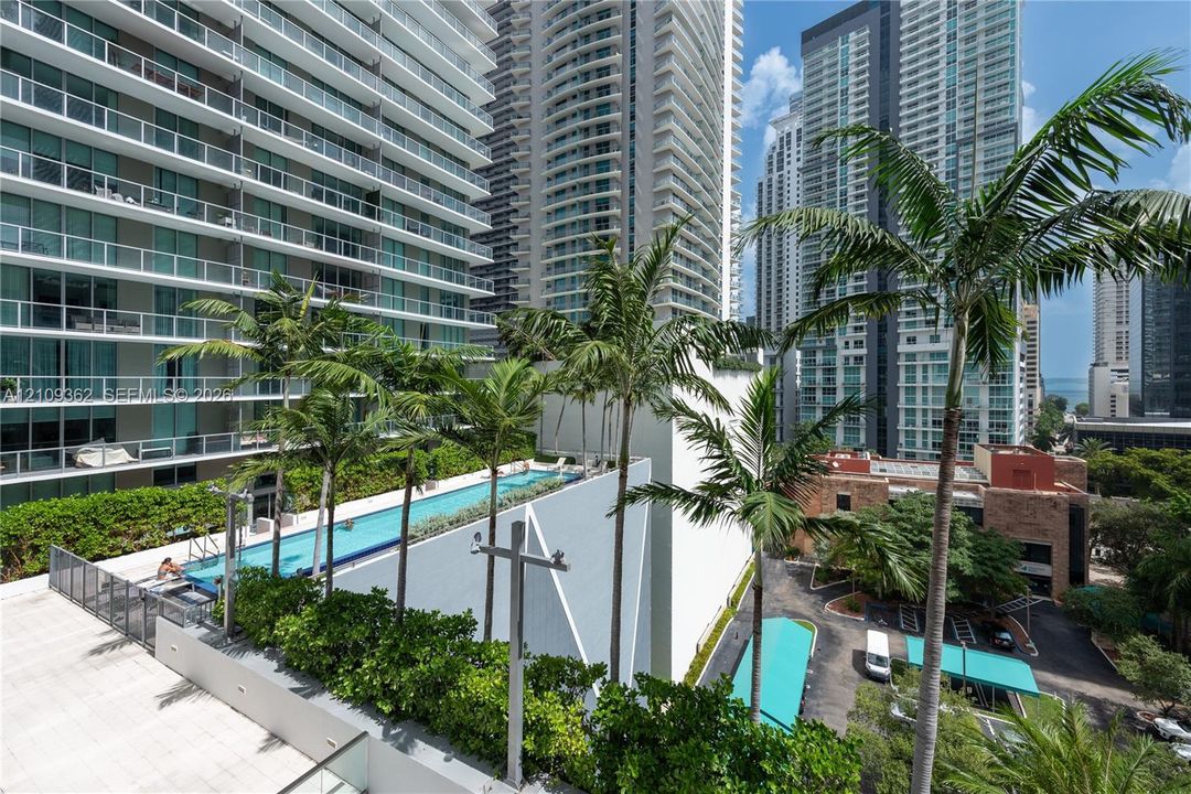 Outdoor terrace featuring a raised lap pool, tiled sundeck, perimeter privacy hedging, and mature palm trees