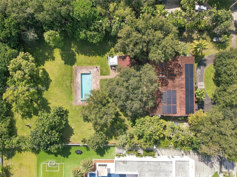 Expansive lot featuring a rectangular swimming pool, solar panel array, mature canopy trees, and manicured lawn space
