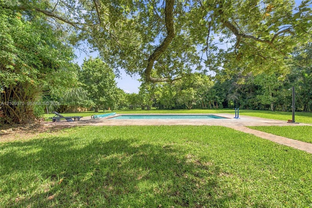 Expansive backyard featuring a rectangular in-ground pool, stone paver decking, manicured lawn, and mature canopy trees