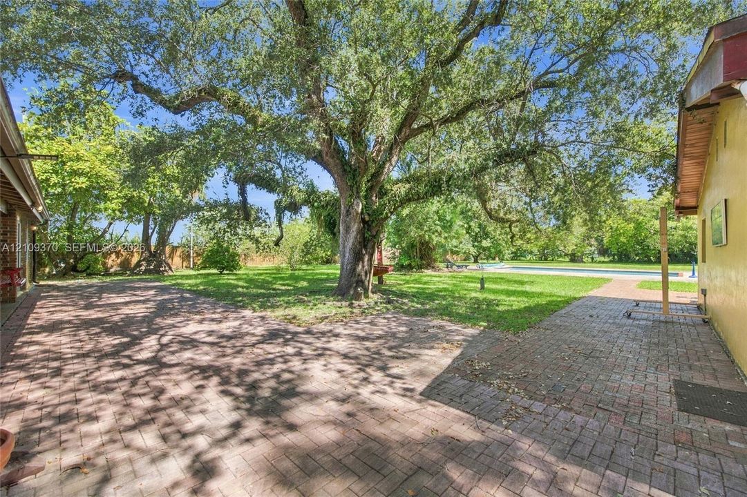 Expansive backyard featuring a brick patio, mature canopy trees, a grass lawn, and an in-ground swimming pool