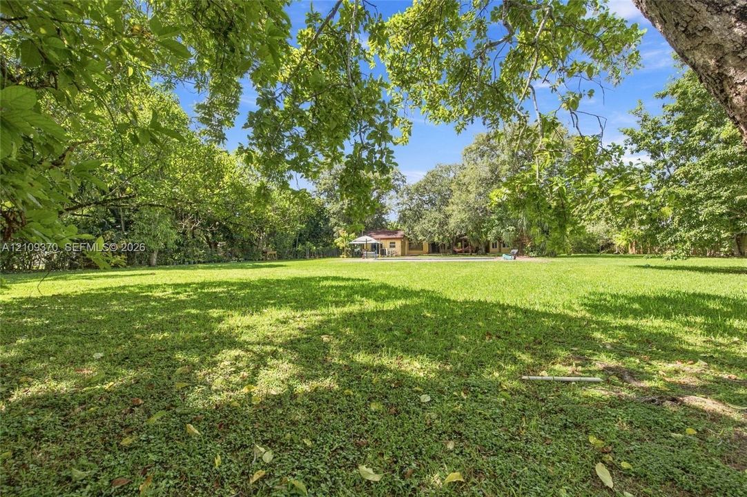 Expansive backyard featuring a large grass lawn, mature shade trees, and a perimeter fence