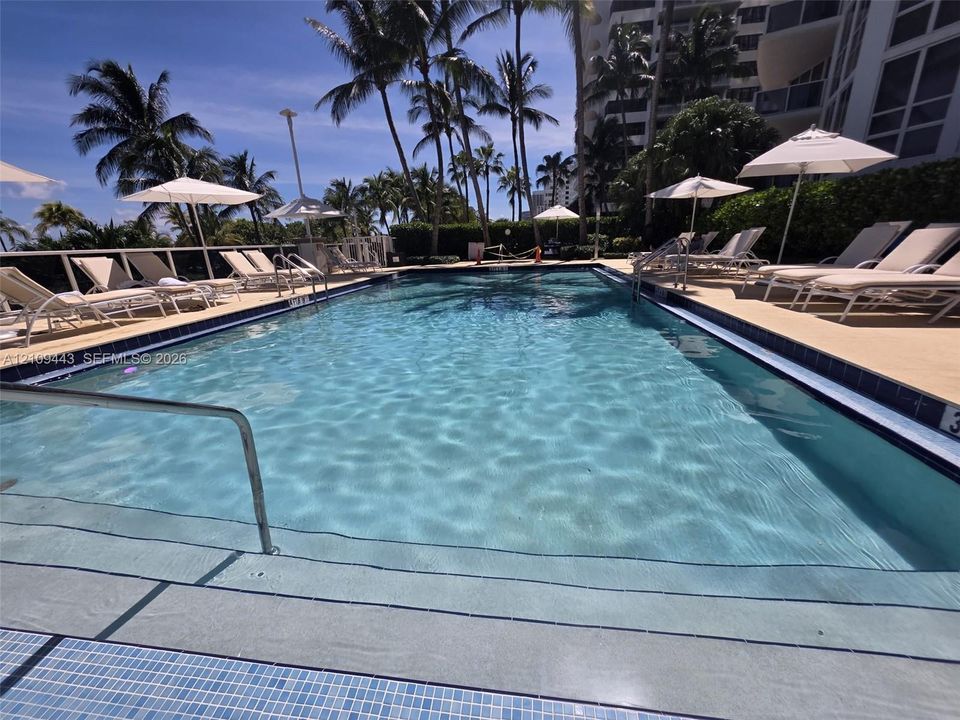 Rectangular swimming pool featuring tiled steps, metal handrails, a paved deck, and mature palm trees