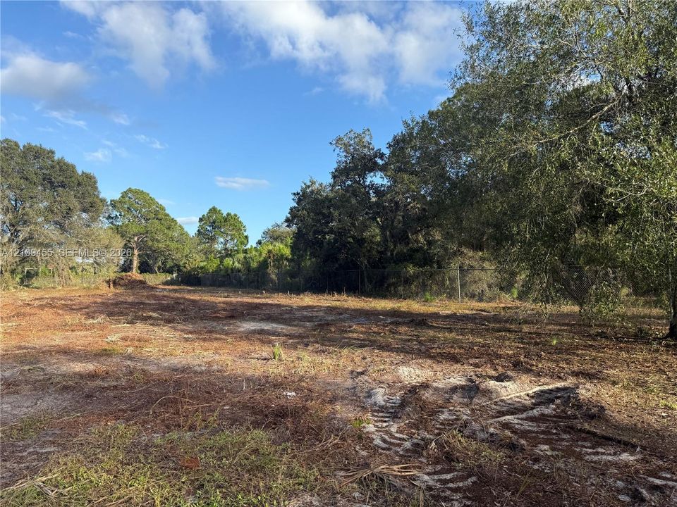 Cleared parcel of land featuring mature trees and perimeter chain-link fencing