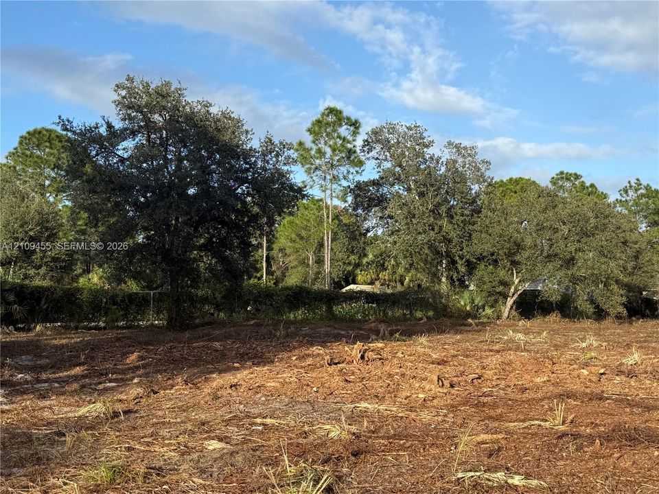 Cleared parcel featuring mature trees, native landscaping, and partial perimeter foliage