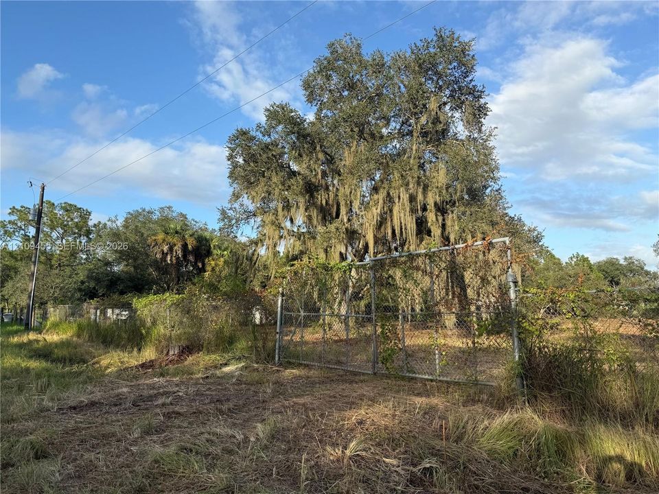 Expansive lot featuring mature trees, natural vegetation, and a chain-link perimeter fence with an integrated gate