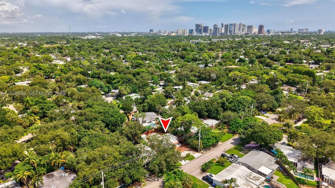 Aerial perspective featuring mature trees, a dense canopy, and an urban skyline backdrop