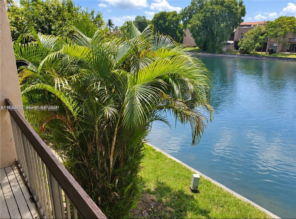 Balcony featuring a metal railing, overlooking a waterfront expanse with mature palm trees and grass landscaping