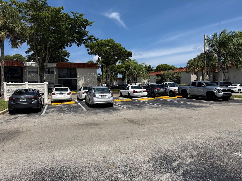 Paved parking lot featuring numbered spaces with designated yellow painted curbs and mature landscaping