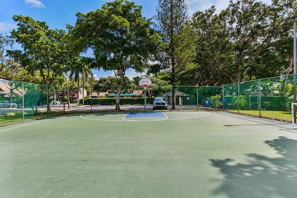 Basketball Court