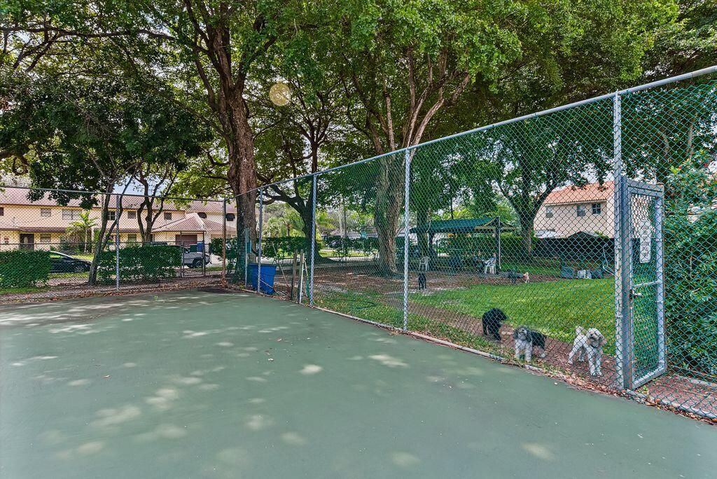 Dog Park
