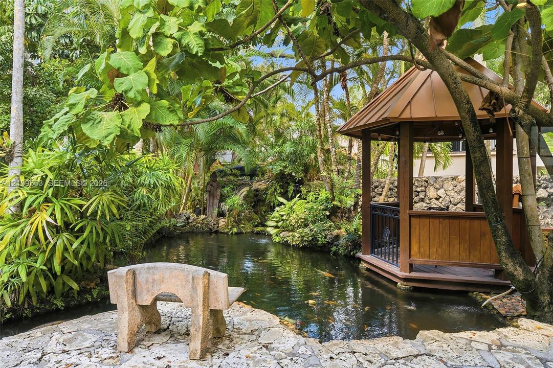Koi Pond