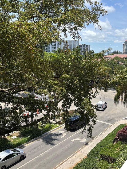 Mature tree canopy providing shade over paved asphalt streets with marked directional lanes, surrounded by residential landscaping and high-rise building infrastructure