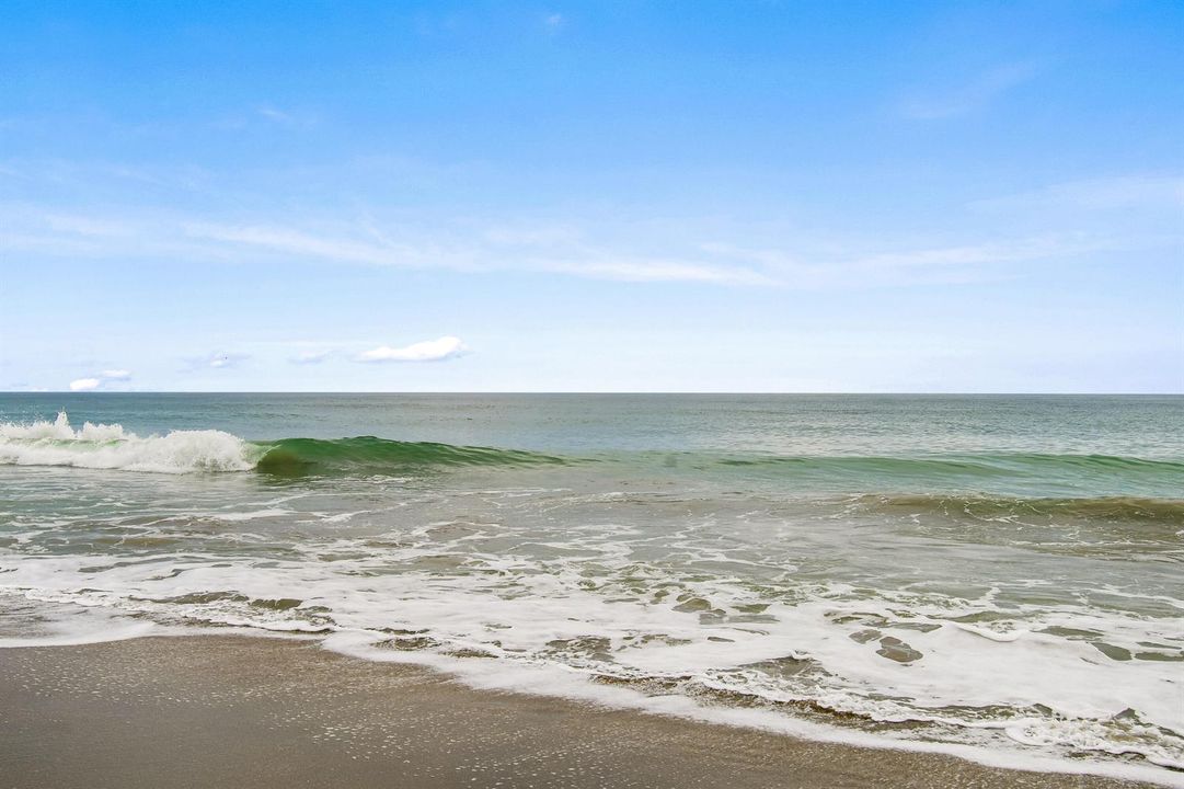 Ocean