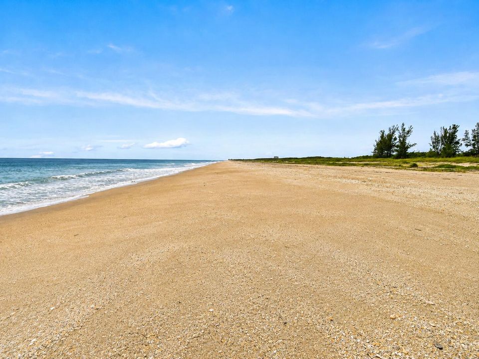 Beach Looking South