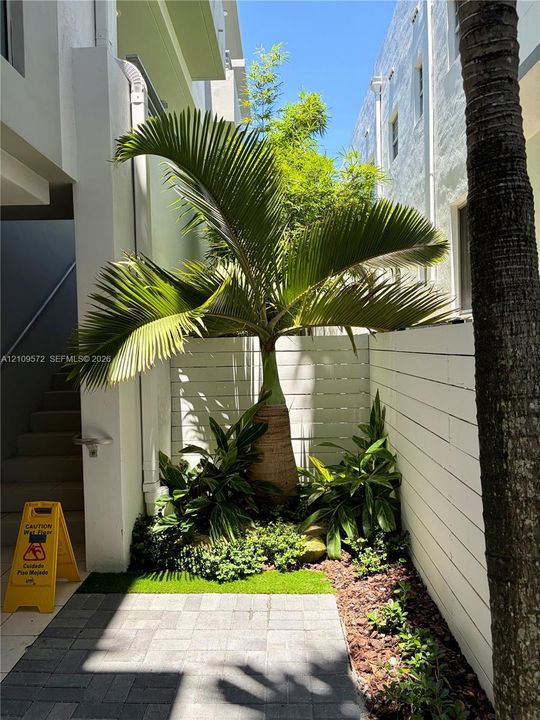 Outdoor patio area featuring gray paver hardscaping, white horizontal privacy fencing, mature palm tree, and integrated landscape beds