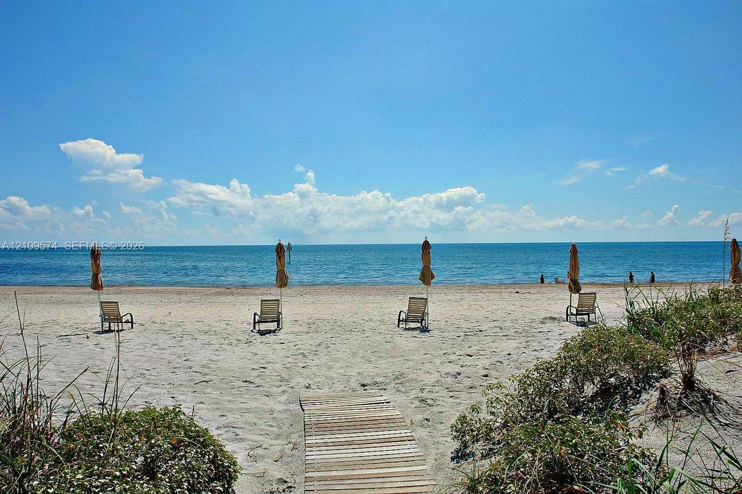 Sandy beach frontage with native dune vegetation and a wood-slat boardwalk path