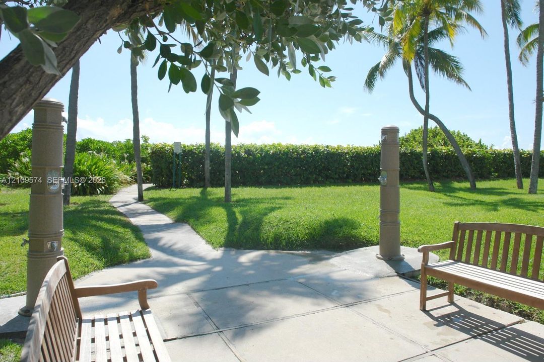 Manicured lawn, concrete pathway, standing outdoor showers, and mature palm trees