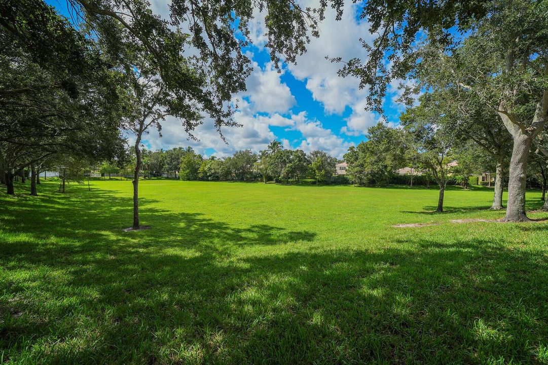 Green space