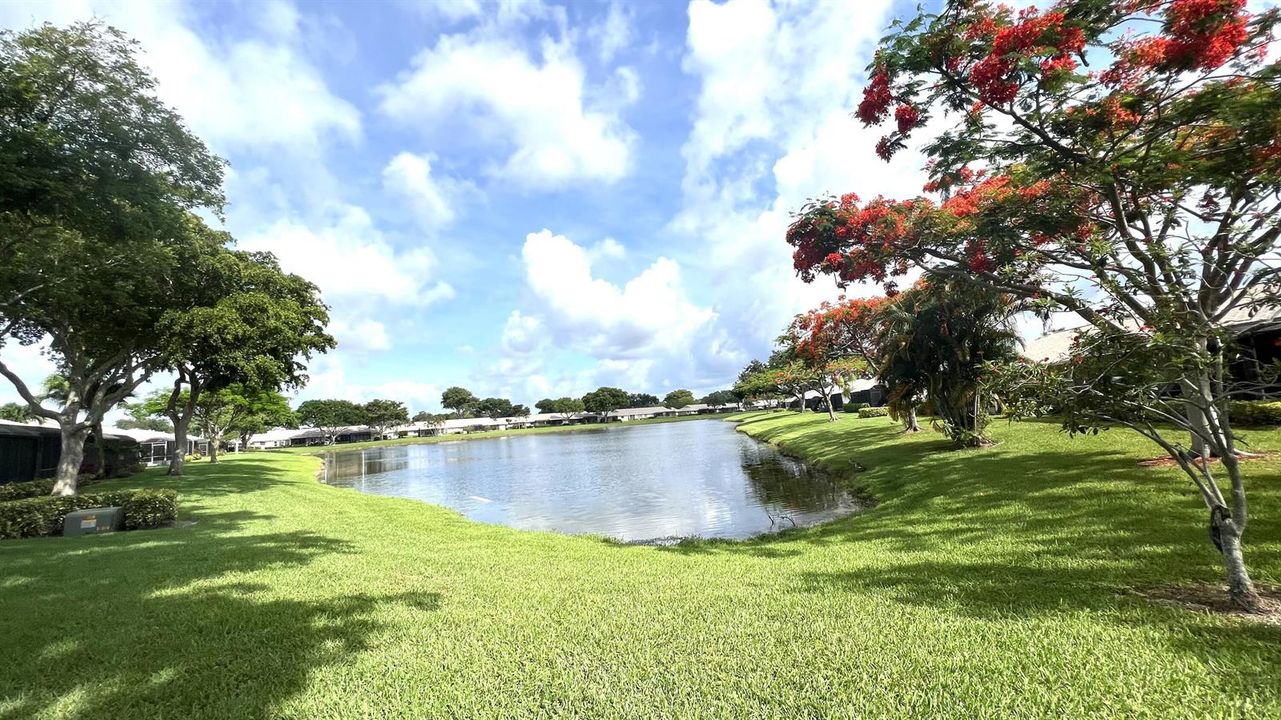 Exterior back yard