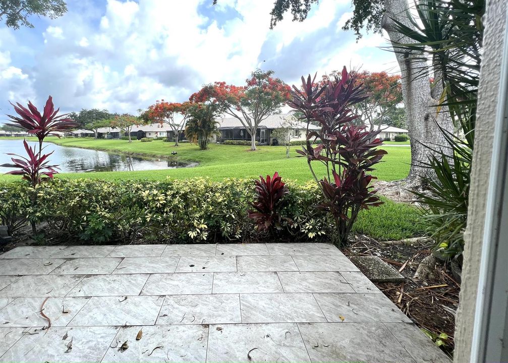 Rear patio
