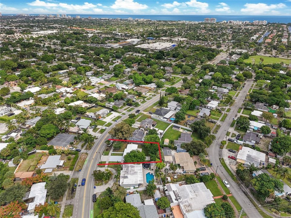 Aerial perspective of a residential lot featuring a concrete driveway and mature tree canopy