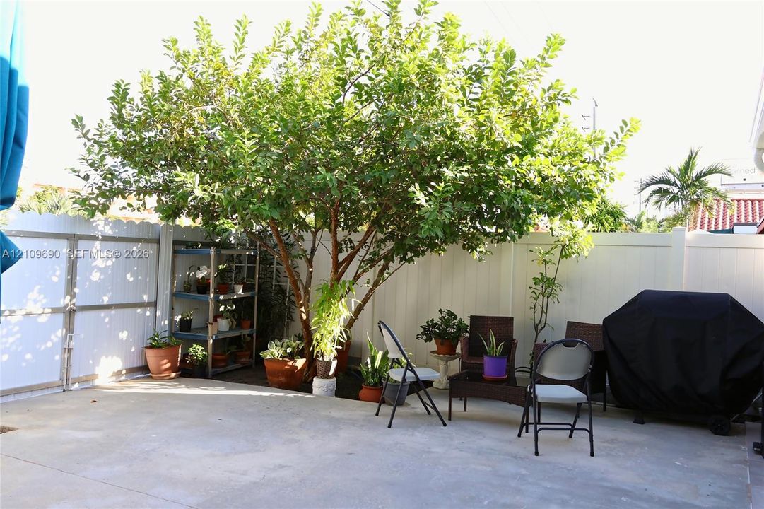 Concrete patio featuring a perimeter white vinyl privacy fence and a mature tree