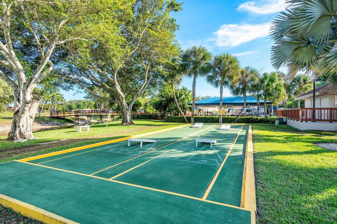 Shuffleboard