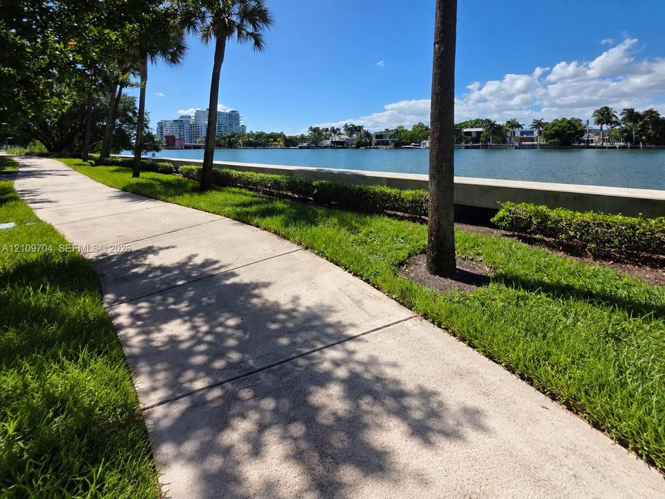 Concrete walking path bordered by manicured lawn, mature palm trees, and a concrete seawall overlooking the waterfront