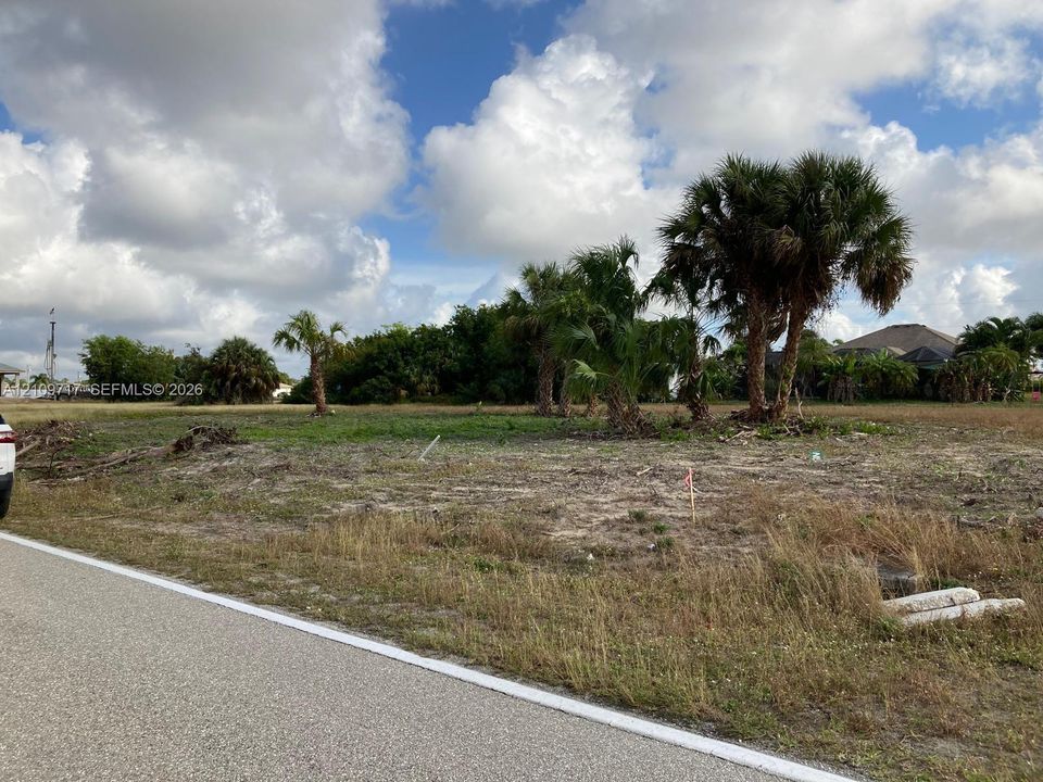 Cleared parcel featuring paved road frontage and mature palm trees