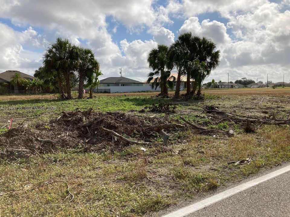 Expansive parcel of cleared land featuring mature palm trees and direct paved road access
