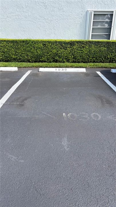 Designated parking space with painted numerical identification and concrete wheel stop, bordered by a manicured privacy hedge